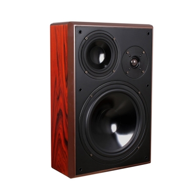 in wall home theatre speakers